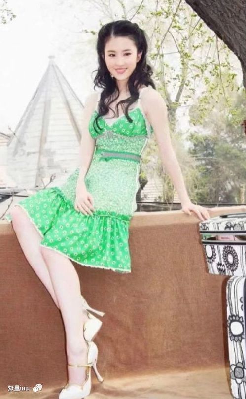 彩衣仙子叶真免费小说无弹窗