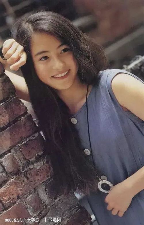 云千帆苏晴小说免费完整版